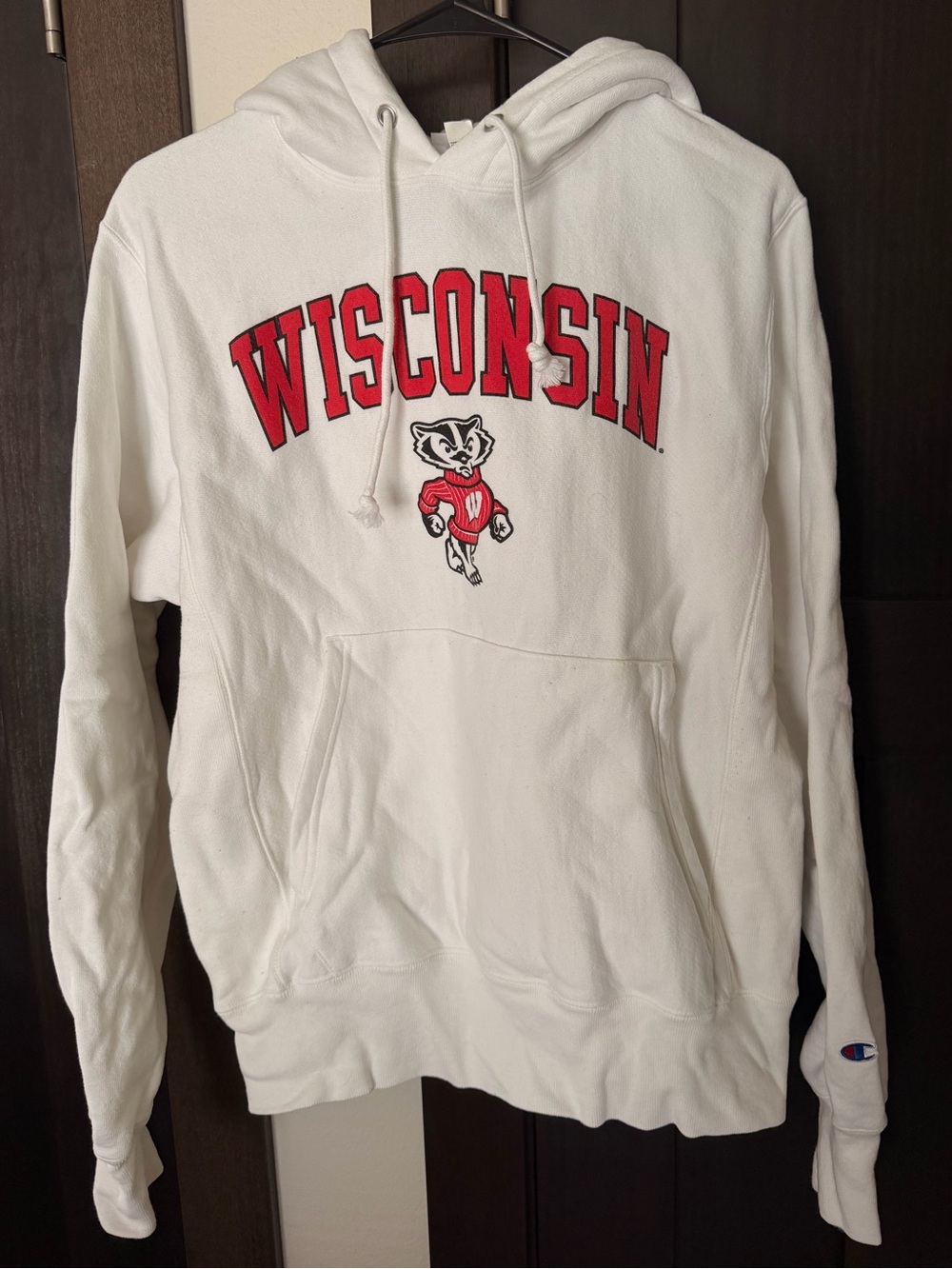 Champion Wisconsin Badgers White Hoodie Sweatshirt